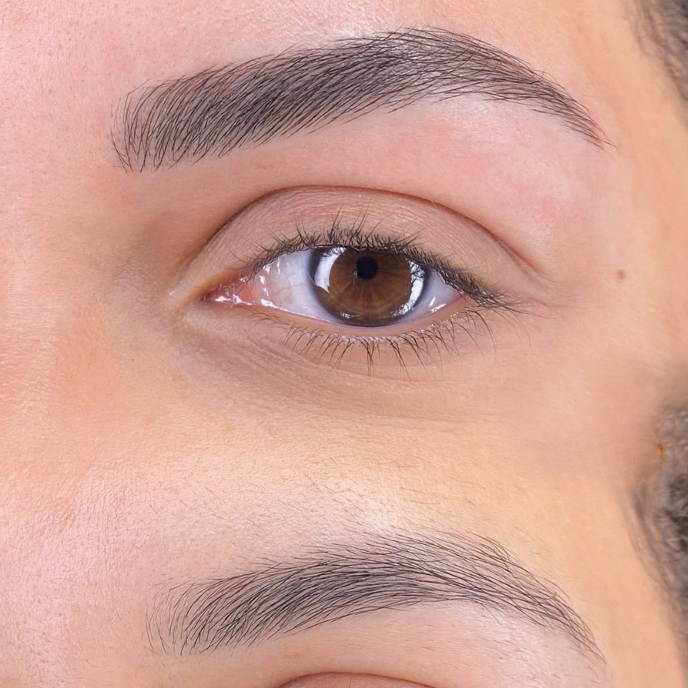 Resultado Magic Brows Nanofios
